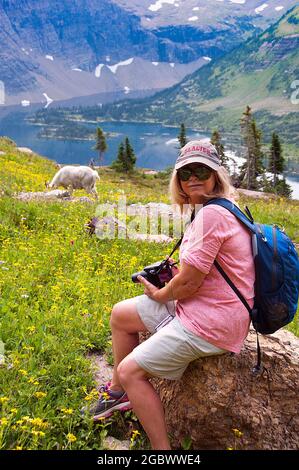 Giovane donna con macchina fotografica, capra di montagna e lago nascosto sotto, Logan Pass, Glacier National Park, Montana Foto Stock