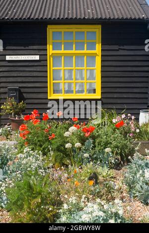 Prospetto Cottage e giardino Dungeness Kent Foto Stock