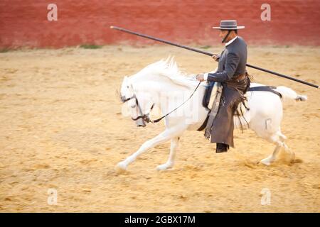Garrocha pole equitazione in Spagna vicino a Siviglia in una fattoria Foto Stock