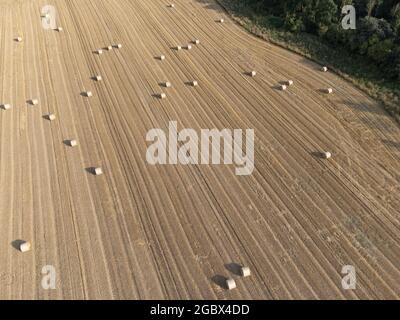 Campo di grano raccolto con balle di paglia, preso con un drone, Nord Reno Westfalia, basso Reno, Germania Foto Stock