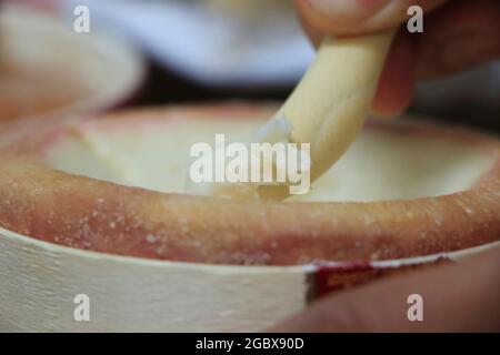 Sbattere il formaggio della torta del Casar con un grissino, Extremadura Foto Stock