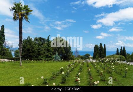 Nel parco del Palazzo Livadia. Crimea. Yalta Foto Stock