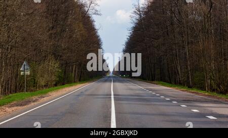 Strada asfaltata nella foresta primaverile. Autostrada vuota nella foresta. Viaggiare in tutto il paese. Foto Stock