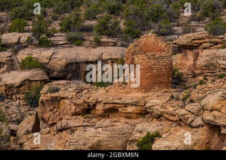 Horseshoe Tower a Hovenweep National Monument, Colorado, USA Foto Stock