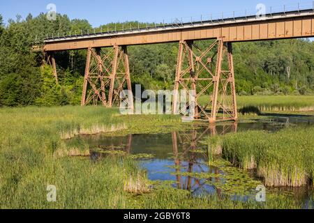 Railroad Trestle Bridge su Swampy Creek Foto Stock