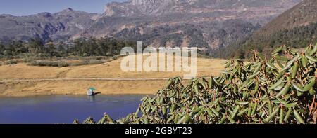 Cespugli alpini, vista della campagna acenica e bellissimo lago PT tso o lago penga teng tso a tawang in arunachal pradesh, india Foto Stock