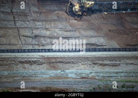 Elsdorf, Germania. 06 agosto 2021. Un gruppo di cinghiali passa di fronte ad un escavatore a ruote di secchio nella miniera di lignite di Hambach. Il tempo rimane scomodo nella Renania Settentrionale-Vestfalia. Secondo i meteorologi, rimarrà per lo più nuvoloso e umido. Credit: Federico Gambarini/dpa/Alamy Live News Foto Stock