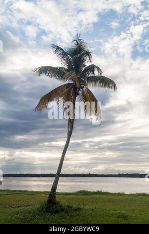 St Laurent du Maroni, Guyana francese. Fiume Maroni (Marowijne) tra il Suriname e la Guiana francese. Foto Stock