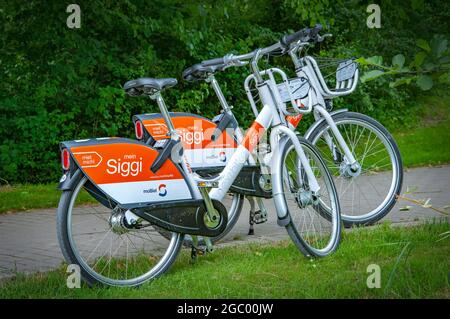 BIELEFELD, GERMANIA. 20 GIUGNO 2021 Loheide Park. Biciclette Nextbike Mein Siggi Foto Stock