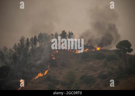 Afidnes, Grecia. 06 agosto 2021. Il fumo sorge da un incendio boschivo in una zona boscosa a nord di Atene. Fin dalle prime ore del mattino, forti venti occidentali hanno continuato a alimentare i numerosi incendi di venerdì. Credit: Angelos Tzortzinis/dpa/Alamy Live News Foto Stock