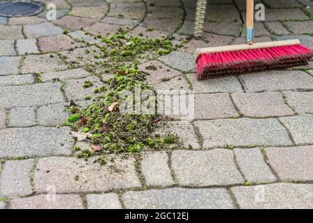 Primo piano di foglie verdi danneggiate su un pavimento in coda accanto a una scopa rossa nel giardino Foto Stock