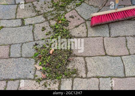 Primo piano di foglie verdi danneggiate su un pavimento di coda accanto alla scopa rossa nel giardino Foto Stock