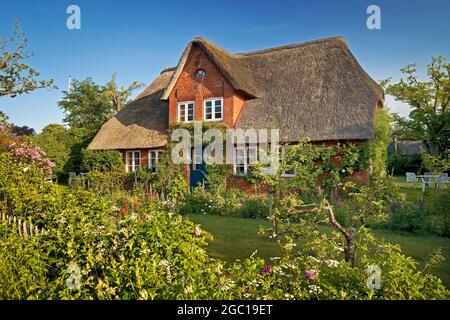 Casa sul tetto in paglia, casa Frisone a Nebel, Germania, Schleswig-Holstein, Frisia settentrionale, Amrum Foto Stock