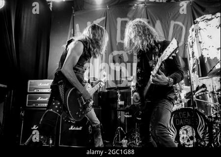 DEAD DAISIES , esibendosi sul palco al Diamond Lounge, Doncaster , UK , 18.11.2016 Foto Stock