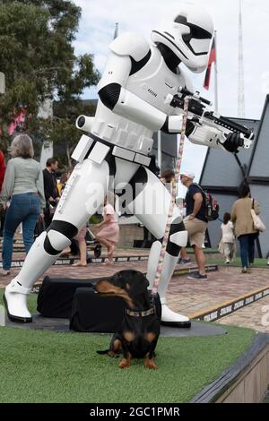 Una statua di Storm Trooper e il suo cucino durante un inizio anticipato alle celebrazioni del 'May the 4th' a Federation Square, che hanno visto famiglie e membri dei fan club riunirsi per celebrare il loro amore per tutte le cose di Star Wars. Credit: Michael Currie/Speed Media/Alamy Live News Foto Stock