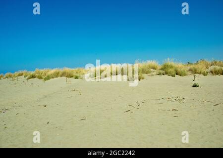 sabbia bianca sulla spiaggia con dune in estate con un cielo blu Foto Stock