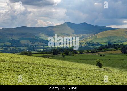 Una vista sia di Pen y Fan che di Corn Du dalle pendici di Twyn y Gaer sul Mynydd Illtyd comune nei Central Brecon Beacons Foto Stock