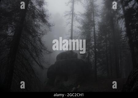 Foto in scala di grigi di una persona in piedi su un masso in una foresta scura, cupa e foggosa Foto Stock