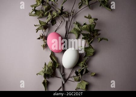 Uova con guscio d'uovo di colore rosa e bianco con ramoscelli e foglie di acero asciutte adagiarsi su fondo di colore grigio crema neutro. Foto Stock