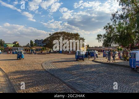 AKSUM, ETIOPIA - 24 GENNAIO 2020: Albero del fico alla piazza principale nel centro di Aksum in Etiopia Foto Stock