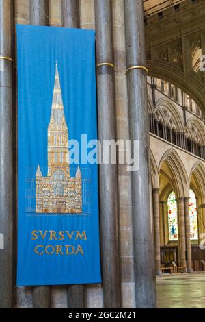 A Salisbury Cathedral, Salisbury, Wilshire, Regno Unito nel mese di luglio Foto Stock