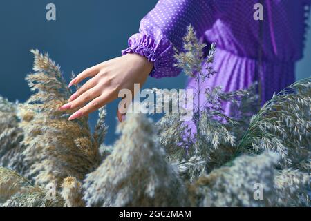 la mano femmina tiene il pampas grass. ragazza che tiene il reed Foto Stock