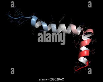 Peptide beta-amiloide (Abeta), rendering 3D. Componente principale di p Foto Stock