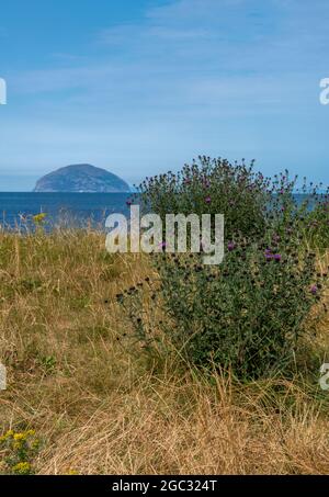 ailsa craig, isola scozzese, costa scozzese, girvan beach, ayrshire paesaggpae, ayrshire turismo, luoghi di interesse scozzesi, firth of clyde. Foto Stock