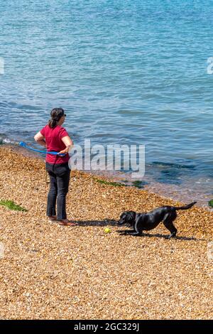 dog walker, cane da passeggio signora, cane da passeggio donna sulla spiaggia, lancio palla per cane, cane fetching palla, cane che gioca con il proprietario sulla spiaggia, cane sulla spiaggia. Foto Stock