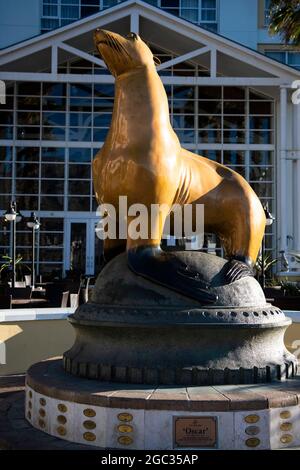 Oscar la statua del Sigillo fuori Table Bay Hotel, Victoria & Alfred Waterfront, Città del Capo, Sud Africa Foto Stock