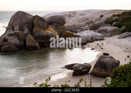 Boulders Beach, Cape Peninsula, Sud Africa Foto Stock