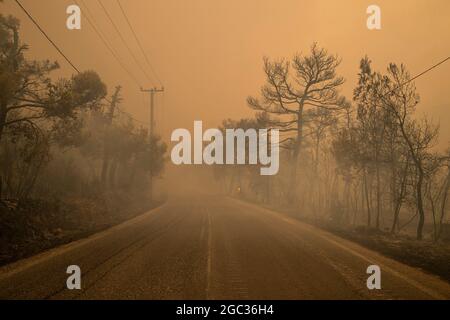 Ippokratio, Grecia. 06 agosto 2021. Il fumo sorge da un incendio boschivo bruciato a nord di Atene. Fin dalle prime ore del mattino, forti venti occidentali hanno continuato a alimentare i numerosi incendi di venerdì. Credit: Angelos Tzortzinis/dpa/Alamy Live News Foto Stock