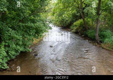 Lunga esposizione di acqua che scorre in un piccolo torrente Foto Stock