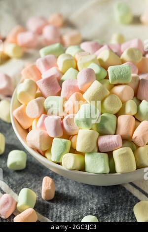 Dolce Arcobaleno fruttato Mini Marshmallows in una ciotola Foto Stock