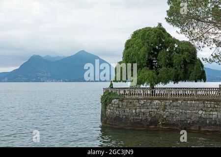 Albero sul lungolago, Stresa, Piemonte, sullo sfondo Monte Sasso del ferro in Lombardia, Lago maggiore, Italia Foto Stock