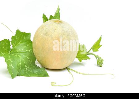 Melone Galia intere e mezzo pezzo composizione isolata su sfondo bianco Foto Stock