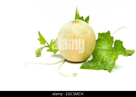 Melone Galia intere e mezzo pezzo composizione isolata su sfondo bianco Foto Stock