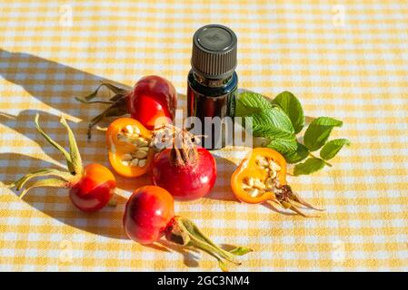 Frutta selvatico rosa fianchi e olio di semi di anca rosa. Primo piano Foto Stock