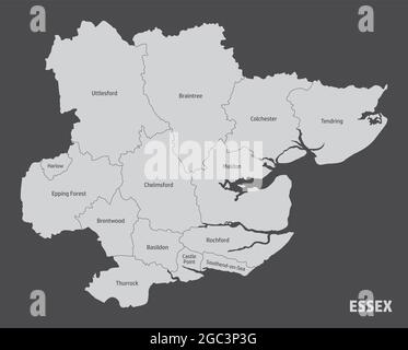 La mappa della contea di Essex divisa in distretti con etichette, Inghilterra Illustrazione Vettoriale