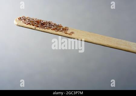 Semi di pulci indiani fotografati in studio contro un nero sfondo Foto Stock