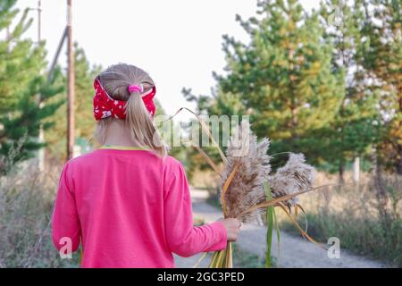 Vista posteriore di una bambina in una blusa rosa che tiene in mano un bouquet di gambi gialli, camminando lungo la strada. Sfondo sfocato. L'idea di le Foto Stock