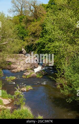 Il fiume Tyne a East Linton, East Lothian, Scozia Foto Stock