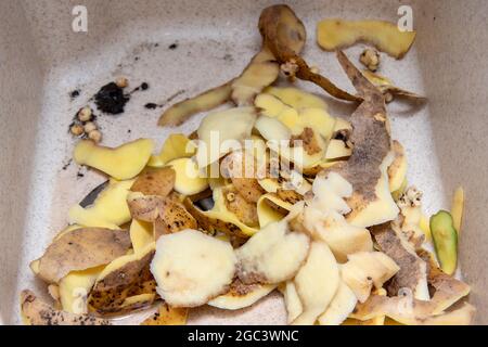 Le bucce di patate si trovano nel lavandino, da vicino, vista dall'alto. Foto Stock