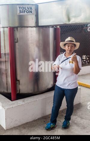 MANIZALES, COLOMBIA - 6 SETTEMBRE 2105: La guida spiega la produzione di caffè presso l'hotel della fattoria Hacienda Venecia. Foto Stock