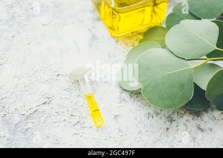 Oli essenziali di eucalipto in bottiglia di vetro. Concetto di aromaterapia a base di erbe oganiche. Foto Stock