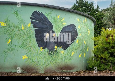 Black Cockatoo Art on Water Tank, Venus Bay, Victoria, Australia Foto Stock