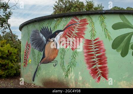 Eastern Spinebill Art on Water Tank, Venus Bay, Victoria, Australia Foto Stock