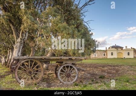 Una vecchia reliquia del carro del torello si trova di fronte a alberi di gomma gnarled e tthe vecchio, patrimonio elencato, Burra Colonial Court House in Australia Meridionale. Foto Stock