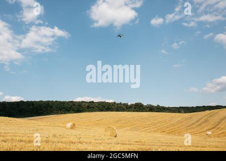 Le balle di fieno si arrotolano in campi coltivati dopo la raccolta del grano, giorno estivo torbido. Rotoli di paglia sul campo di grano. Foto Stock