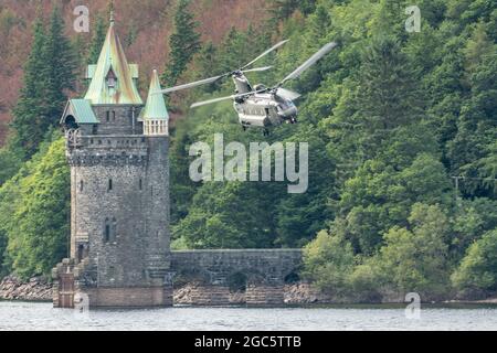 Chinnok basso livello sul lago Vyrnwy Foto Stock